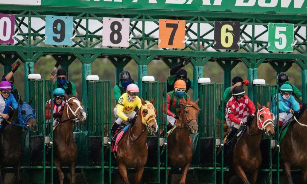 A Beginner’s Guide to Betting on Horse Racing