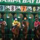 A Beginner’s Guide to Betting on Horse Racing