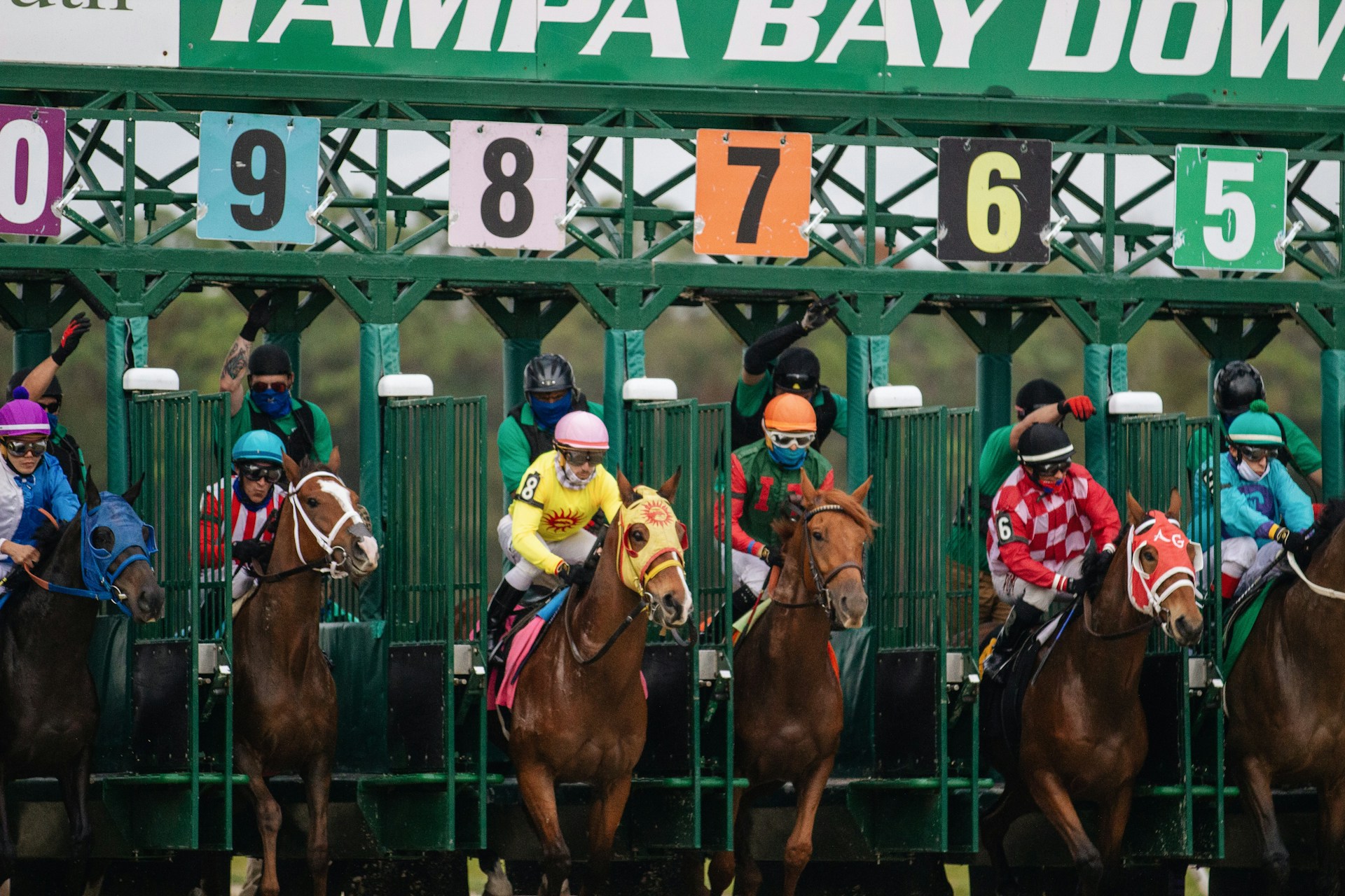 A Beginner’s Guide to Betting on Horse Racing