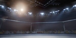 UFC Betting