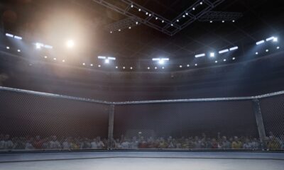 UFC Betting