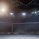 UFC Betting Guide 2025 – Discover Top Tips On How to Bet on the UFC 47 UFC Betting