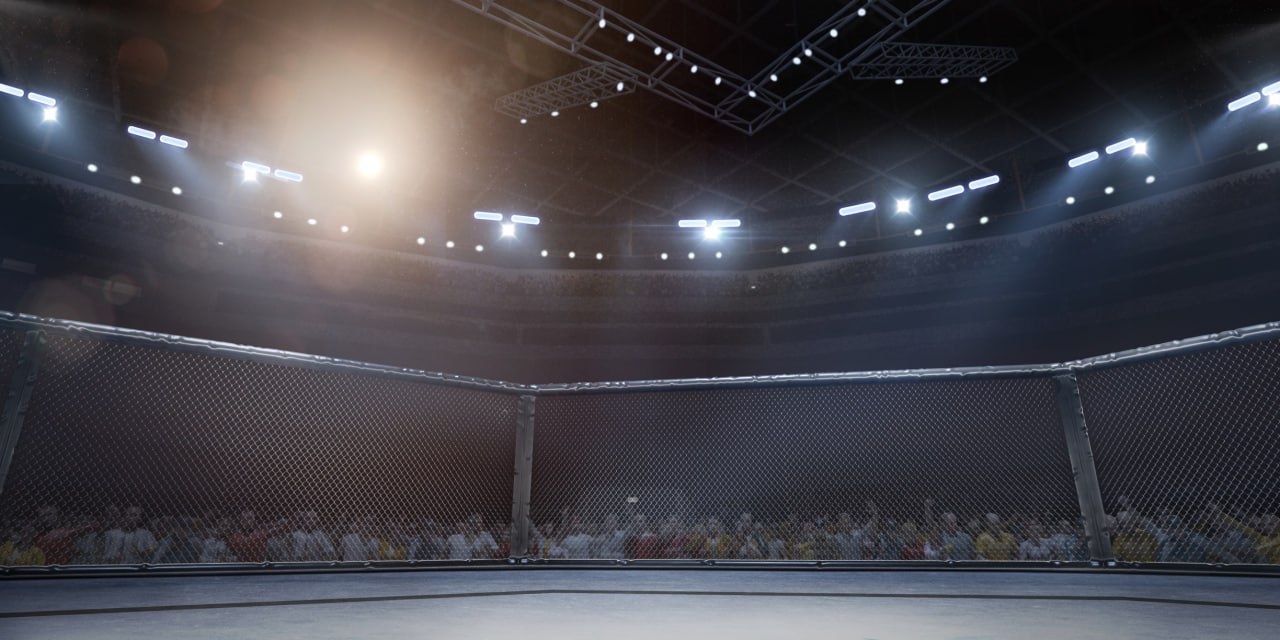 UFC Betting