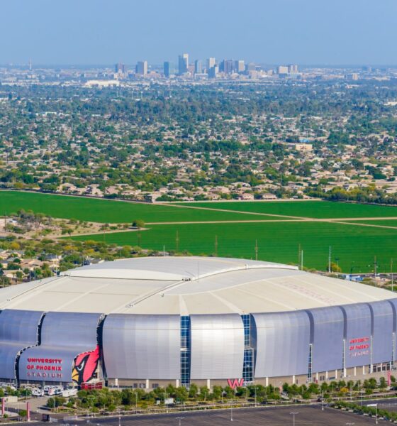 Arizona Cardinals betting line