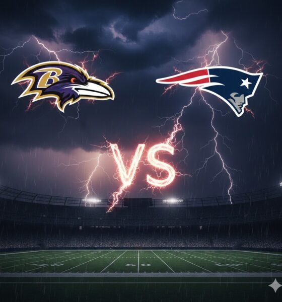 Ravens vs Patriots Highlights - NFL Week 16